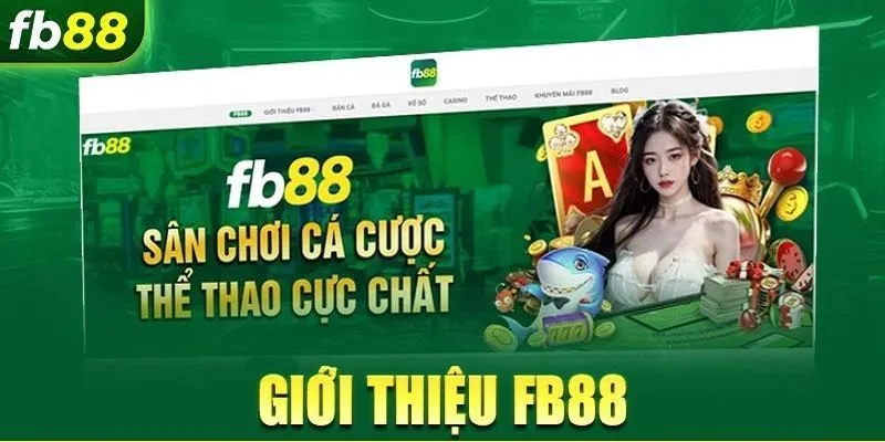 Về chúng tôi đầy đủ nhất